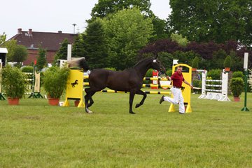 Bild 71 - Elmshorn am 9.6.10